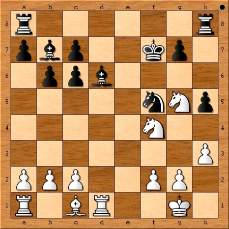The final position of Game 9 from the 2014 Fide World Chess Championship Match between Magnus Carlsen and Viswanathan Anand.