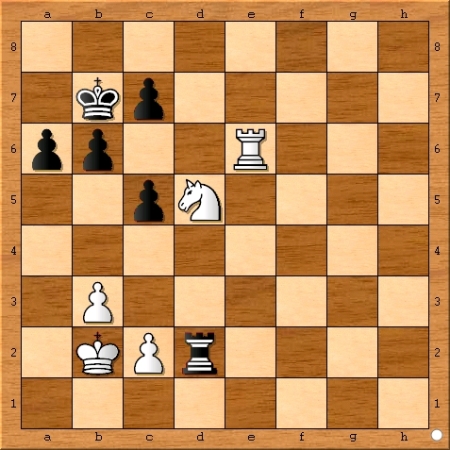 Position after Viswanathan Anand plays 42... Rd2.