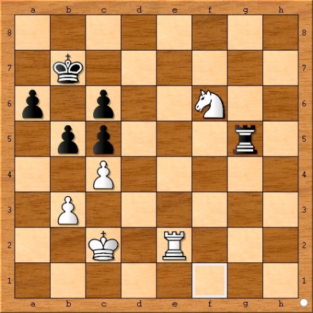 Position after Viswanathan Anand plays 64... Rg5.