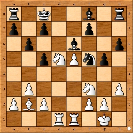 Position after Viswanathan Anand played 15... g5.