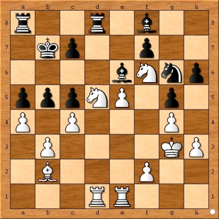 Position after Viswanathan Anand plays 23... b5.