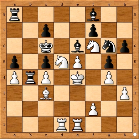 Position after Viswanathan Anand plays 27... Rb4.