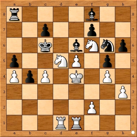 Position after Viswanathan Anand plays 28... cxb4.