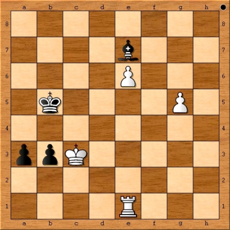 The final position from the 2014 FIDE World Chess Championship Match between Magnus Carlsen and Viswanathan Anand.
