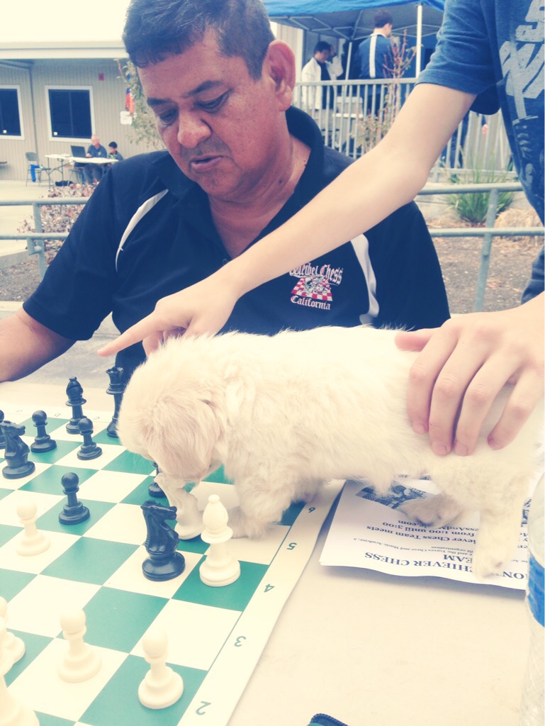 Weibel Chess: October 2015