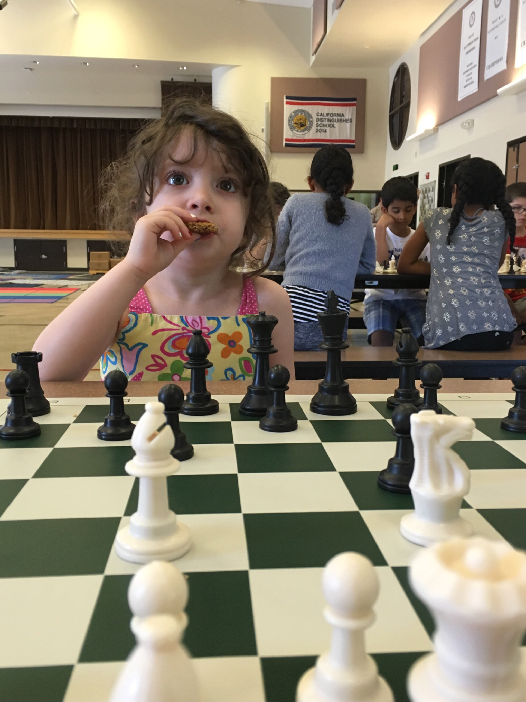 November 2014 – IM/WGM Yelena Dembo's Chess Academy